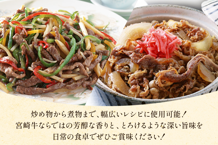 牛肉 宮崎牛 小間切れ 200g 10P 計2kg [マルミヤストア 宮崎県 美郷町 31ag0147] 小分け 国産 黒毛和牛 黒毛 和牛 BBQ