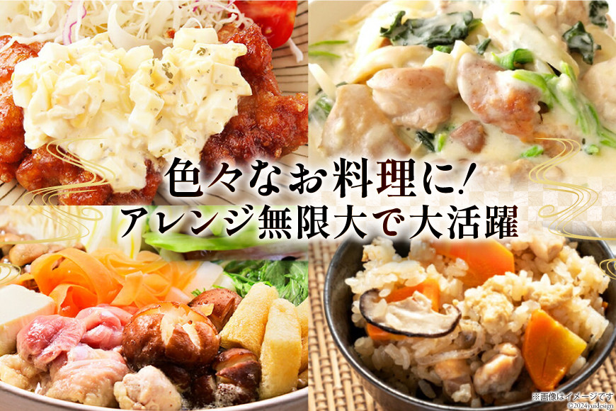 鶏肉 6回 定期便 もも肉 若鶏もも肉 切身 500g ×6p 総計 18kg [九州児湯フーズ 宮崎県 美郷町 31ai0028] 冷凍 小分け 若鶏 もも モモ 鳥もも肉 鶏 真空パック カット