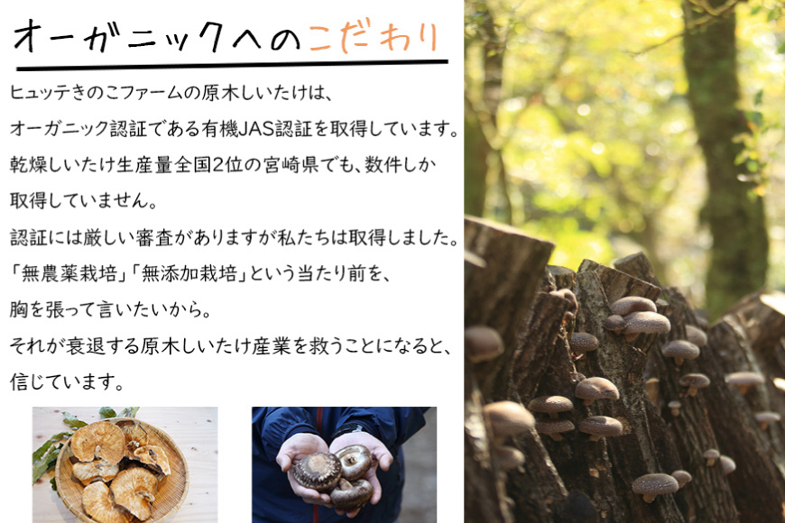 宮崎県産 乾燥 椎茸 100g×1袋 チャック袋入 [ HUTTE 宮崎県 美郷町 31ao0013] 干ししいたけ 出汁 オーガニック 原木栽培 有機JAS認証 大容量 料理 調理 常温 渡川 アヒージョ 煮物 煮付け おかず おこわ 鍋 みそ汁 炒め物 うどん そば スープ パスタ リゾット 春巻き 数量限定