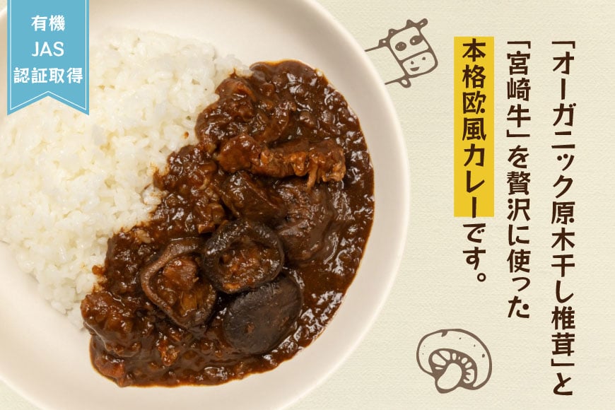 カレー レトルト 山師のおひさま なばカレー 宮崎牛 原木椎茸 使用 180g [HUTTE 宮崎県 美郷町 31ao0025] 常温保存 カレー 欧風カレー 常備食 保存食 防災 備蓄 非常食 防災食 簡単調理