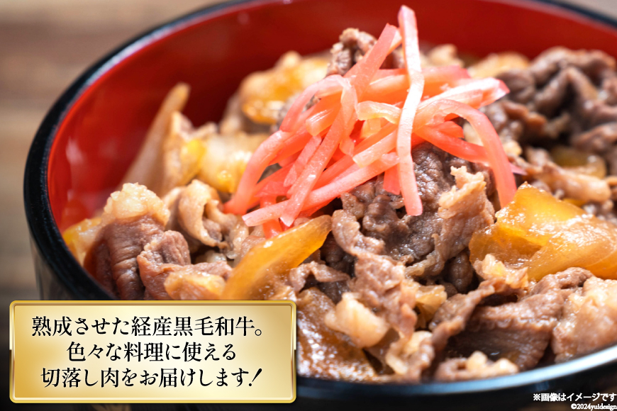 宮崎県産 黒毛和牛 切り落とし 500g×3 計1.5kg [サンアグリフーズ 宮崎県 美郷町 31ba0025] 小分け 冷凍 送料無料 切落し 国産 牛 すき焼き 牛丼 炒め物