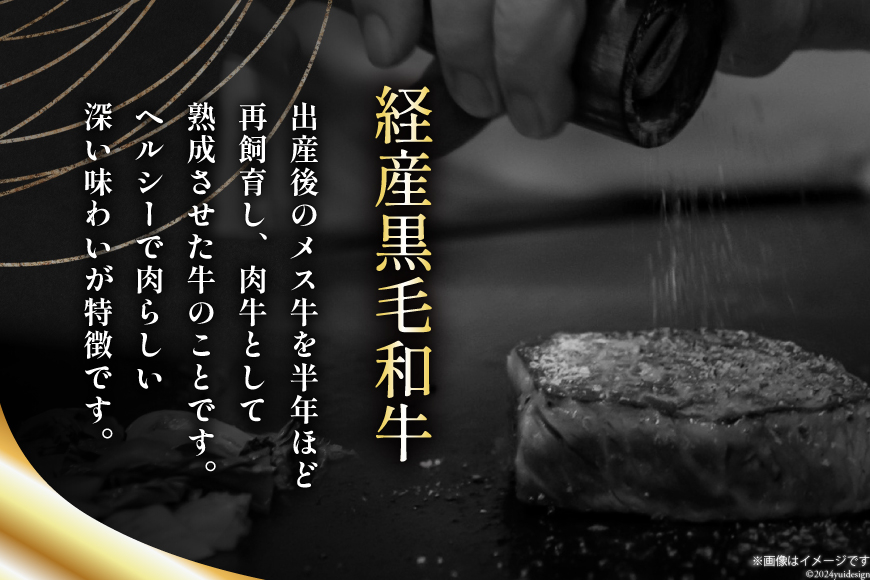 6回 定期便 宮崎県産 黒毛和牛 サーロイン ステーキ 300g ×3×6ヶ月 合計5.4kg [サンアグリフーズ 宮崎県 美郷町 31ba0035] 小分け 冷凍 送料無料 国産 牛 肉 霜降り BBQ バーベキュー キャンプ 真空包装 スペース 収納 サシ がっつり 脂