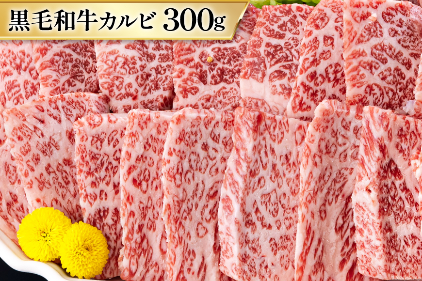 4回 定期便 宮崎県産 焼肉 セット 黒毛和牛 モモ カルビ 豚バラ 若鶏 モモ 合計4.8kg 各300g [サンアグリフーズ 宮崎県 美郷町 31ba0037] 小分け 冷凍 送料無料 国産 BBQ バーベキュー キャンプ 普段使い 炒め物 丼 カット 詰め合わせ 経産牛
