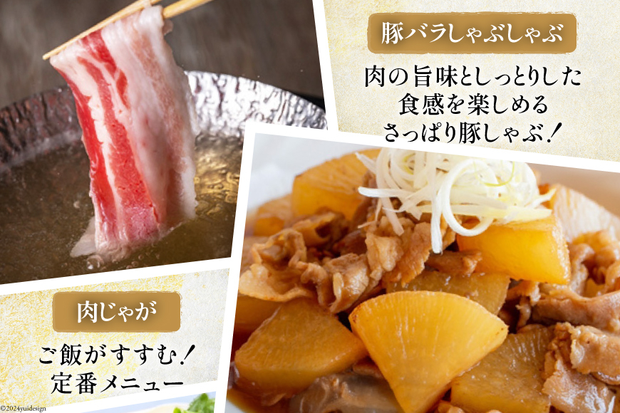 豚肉 切り落とし 宮崎県産 豚バラ 6回 定期便 500g 3p 総計9kg [サンアグリフーズ 宮崎県 美郷町 31ba0048] しゃぶしゃぶ 小分け バラ こま切れ 豚 バラ 薄切り セット