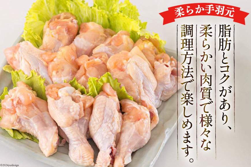 若鶏 むね 手羽元 合計5kg 1kg包装 [アグリ産業匠泰 宮崎県 美郷町 31be0044] 小分け 鶏肉 冷凍 送料無料 炒め物 煮込み 調理 料理 大容量 真空 胸 あっさり ヘルシー 唐揚げ からあげ チキン南蛮 照り焼き 甘辛煮 とり天 ヤンニョム チキン 普段使い 便利 セット 詰め合わせ 2種