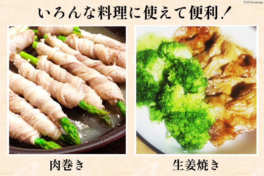 豚肉 切り落とし 宮崎県産 豚 切り落し 500g × 10 計5kg [アグリ産業匠泰 宮崎県 美郷町 31be0059] 肉 冷凍 ぶた肉 ぶた 小分け 個包装 切り落とし
