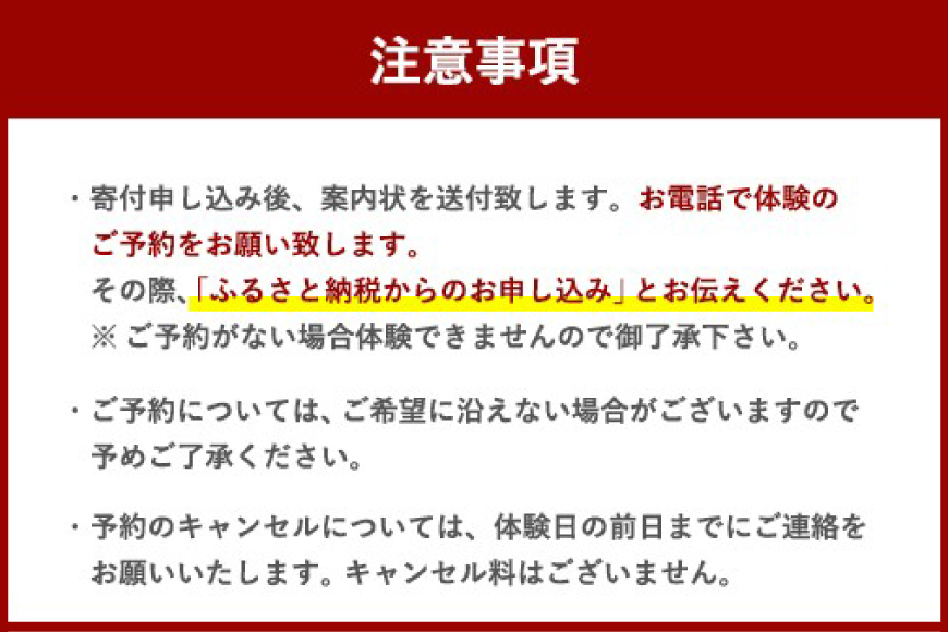 体験 ウェイクボード 初心者体験コース [SHOP川口機工 宮崎県 美郷町 31bj0013] アクティビティ 夏 スポーツ体験 マリンスポーツ 利用券 利用権