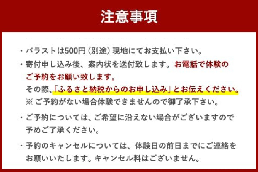 体験 ウェイクボード 上級者コース [SHOP川口機工 宮崎県 美郷町 31bj0015] アクティビティ 夏 スポーツ体験 コース マリンスポーツ 利用券 利用権