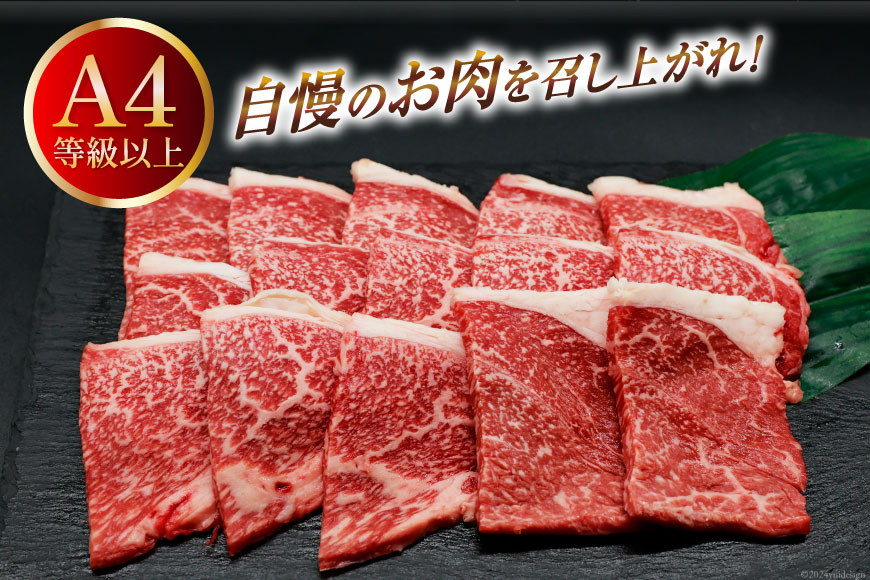 肉 牛肉 宮崎牛 牛うで肉 焼肉用 400g×3 計1.2kg [牛心フードサービス 宮崎県 美郷町 31bm0054] 冷凍 小分け 焼肉 ブランド牛 ウデ ウデ肉 うで うで肉 ブランド牛