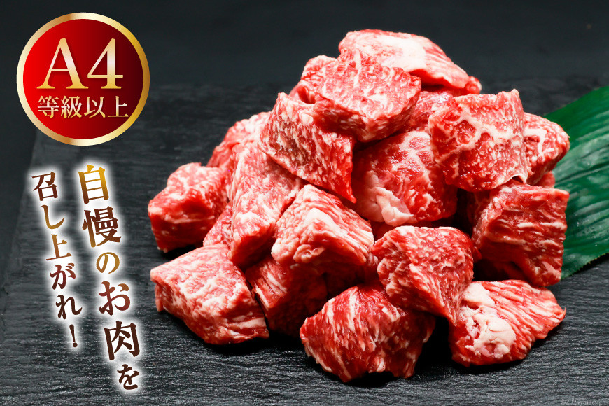 肉 牛肉 宮崎牛うで肉 サイコロカット 500g [牛心フードサービス 宮崎県 美郷町 31bm0058] 冷凍 ウデ ウデ肉 うで うで肉ブランド牛 宮崎牛 さいころ サイコロ