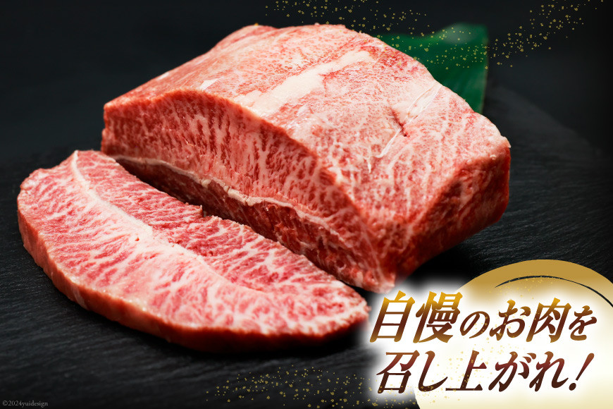 肉 牛肉 宮崎牛 牛みすじステーキ 450g [牛心フードサービス 宮崎県 美郷町 31bm0061] 冷凍 ステーキ ミスジ みすじ 希少部位 ブランド牛