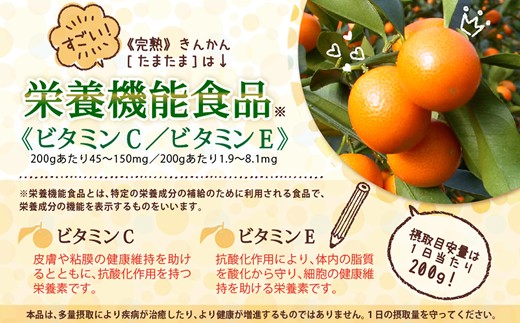 【TVで紹介されました!】 きんかん 糖度16度以上 たまたま 1kg A2L サイズ 【期間限定発送】 [農林産物直売所 美郷ノ蔵 宮崎県 美郷町 31ab0062] 金柑 キンカン きんかんたまたま 金柑たまたま 柑橘 果物 フルーツ
