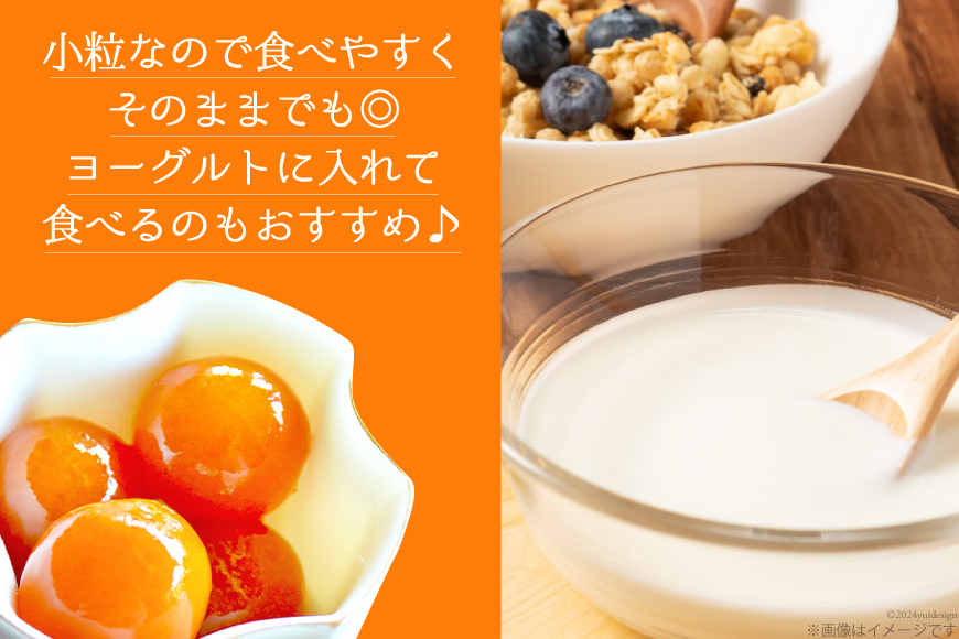 完熟 きんかん 甘露煮 170g×2袋 セット [農林産物直売所 美郷ノ蔵 宮崎県 美郷町 31ab0096] おせち デザート 宮崎県産 美郷産 送料無料 金柑 フルーツ 果物 加工品 おやつ お菓子 手作り 手づくり 詰め合わせ ヨーグルト ギフト プレゼント 贈り物 父の日 母の日 お試し