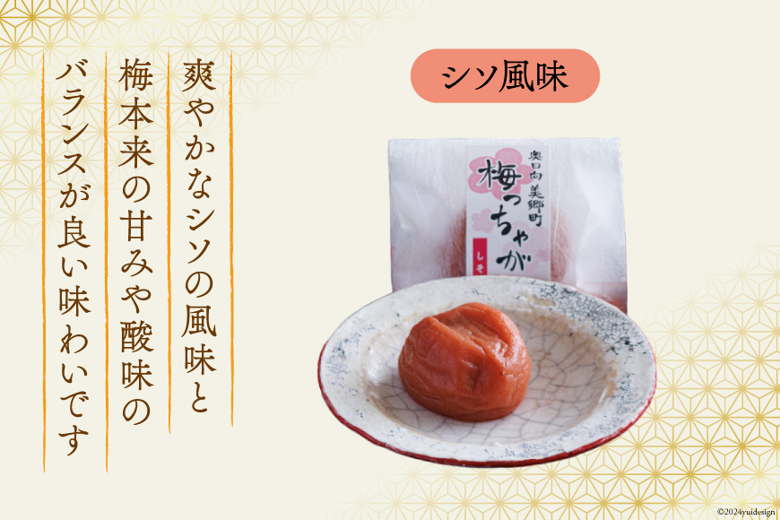 南高梅 梅干し 美郷梅 一粒入り うま味昆布 & シソ風味 各6粒 3Lサイズ A級品 化粧箱入り [農林産物直売所 美郷ノ蔵 宮崎県 美郷町 31ab0101] 国産 セット 詰め合わせ 宮崎県産 美郷産 常温 送料無料 贈答品 父の日 母の日 プレゼント ギフト