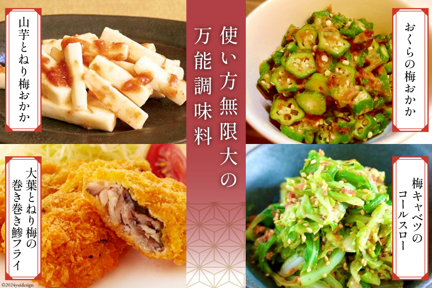 南高梅 梅おかか 100g×3袋 [農林産物直売所 美郷ノ蔵 宮崎県 美郷町 31ab0103] ねり梅 和え物 簡単調理 便利 あっさり さっぱり 国産 セット 詰め合わせ 宮崎県産 常温 送料無料 贈答品 父の日 母の日 プレゼント ギフト 調味料 料理 調理 おかず 薬味 そうめん 素? フライ 揚げ 炒め 煮込み 普段使い 便利