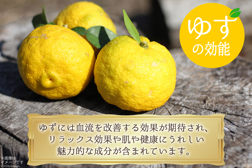 調味料 赤ゆずごしょう 60g×2本 セット [農林産物直売所 美郷ノ蔵 宮崎県 美郷町 31ab0105] 赤唐辛子 ゆず 柚子 塩 唐辛子 柚子胡椒 ギフト 調味料 宮崎県産 産 国産 送料無料 薬味 地鶏 刺身 焼き鳥 うどん そば そうめん 水炊き 鍋料理 肉料理 魚料理 手作り 手づくり 料理 調理 おかず