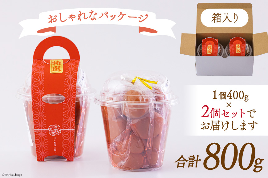 南高梅 梅干し 美郷梅 シソ風味 400g×2 3Lサイズ 塩分控えめ A級品 [農林産物直売所 美郷ノ蔵 宮崎県 美郷町 31ab0113] 国産 宮崎県産 美郷産 常温 送料無料 贈答品 父の日 母の日 プレゼント ギフト 贈り物 おやつ お菓子 調理 おかず 料理 普段使い