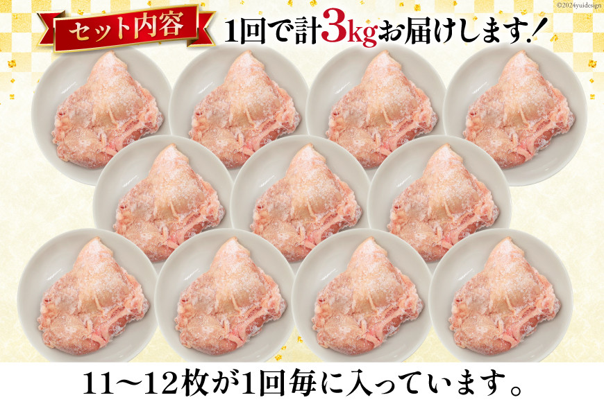 定期便 肉 鶏肉 12回定期便 若鶏もも身11～12パック 計3kg [九州児湯フーズ 宮崎県 美郷町 31aj0061] 冷凍 小分け 個包装  鶏もも肉 もも肉 モモ肉
