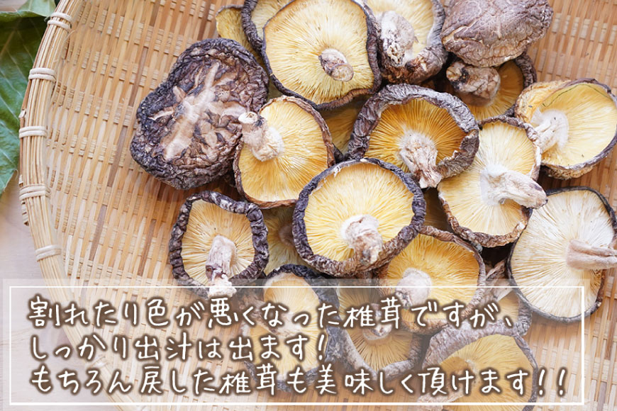 宮崎県産 乾燥 椎茸 100g×1袋 チャック袋入 [ HUTTE 宮崎県 美郷町 31ao0013] 干ししいたけ 出汁 オーガニック 原木栽培 有機JAS認証 大容量 料理 調理 常温 渡川 アヒージョ 煮物 煮付け おかず おこわ 鍋 みそ汁 炒め物 うどん そば スープ パスタ リゾット 春巻き 数量限定