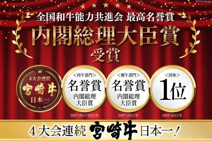 宮崎牛 ロース ステーキ 2枚 計500g [ミヤチク 宮崎県 美郷町 31au0093] 牛肉 肉 冷凍 宮崎県産 国産 霜降り サシ BBQ バーベキュー