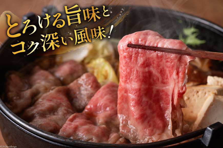 牛肉 定期便 宮崎牛スライスセット 6ヶ月定期便 [ミヤチク 宮崎県 美郷町 31au0107] 冷凍 スライス 小分け 個包装 牛モモ 牛バラ 牛 牛ロース 牛肩ロース