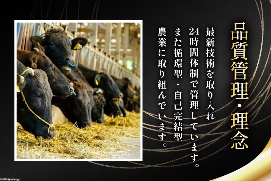 宮崎県産 黒毛和牛 切り落とし 500g×3 計1.5kg [サンアグリフーズ 宮崎県 美郷町 31ba0025] 小分け 冷凍 送料無料 切落し 国産 牛 すき焼き 牛丼 炒め物