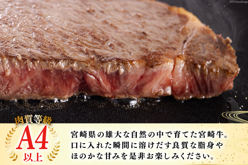 宮崎牛 厚切り ロース ステーキ 300g [日本ハムマーケティング 宮崎県 美郷町 31bd0021] 冷凍 送料無料 国産 黒毛 和牛 A5 A4等級 ブランド 牛 肉 霜降り 焼肉 BBQ バーベキュー キャンプ 宮崎県産 母の日 父の日 プレゼント ギフト 贈り物 分厚い