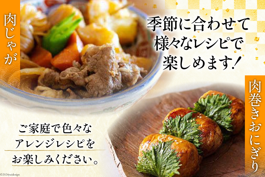 宮崎牛 バラ 切り落し 500g×2 計1kg すき焼き用 [アグリ産業匠泰 宮崎県 美郷町 31be0052] 小分け 牛肉 切落し バラ すき焼き 牛丼 肉じゃが しぐれ煮 煮込み 炒め 焼肉 普段使い 調理 おかず 料理 国産 送料無料 パック 冷凍 牛すき煮 肉豆腐 甘辛煮 ハヤシライス プルコギ ビビンバ