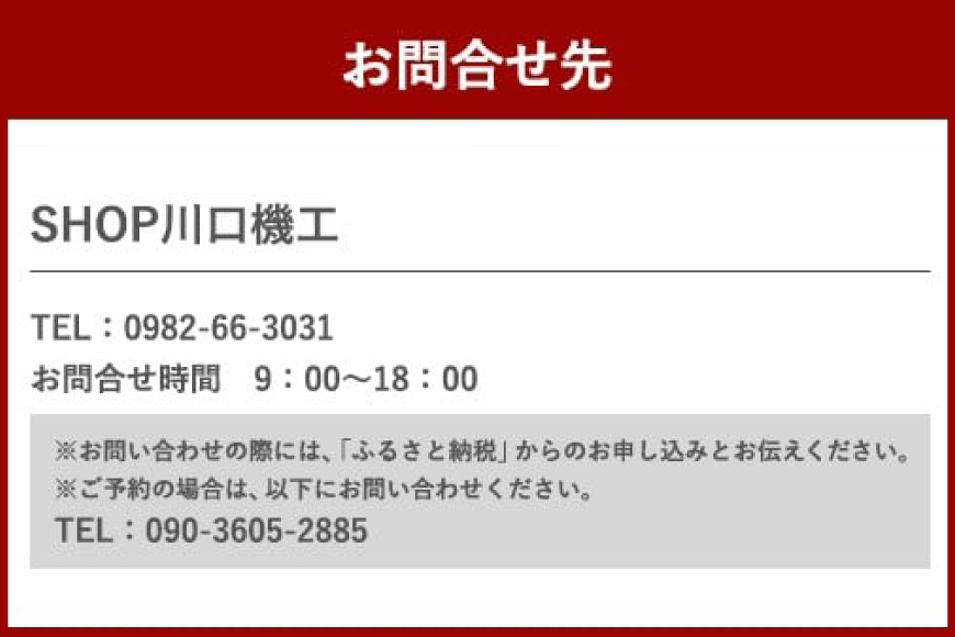 体験 ウェイクボード 上級者コース [SHOP川口機工 宮崎県 美郷町 31bj0015] アクティビティ 夏 スポーツ体験 コース マリンスポーツ 利用券 利用権