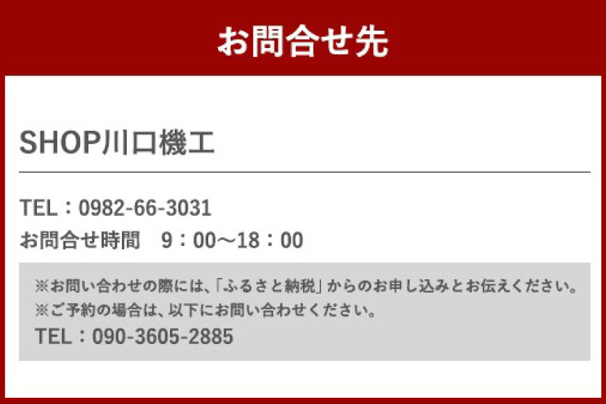 体験 ウェイクサーフィン 15分 [SHOP川口機工 宮崎県 美郷町 31bj0016] アクティビティ 夏 スポーツ体験 スポーツ コース マリンスポーツ 利用券 利用権