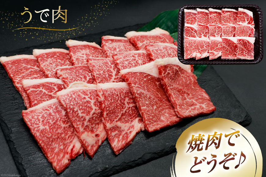 肉 牛肉 宮崎牛 牛うで肉 焼肉用 400g×3 計1.2kg [牛心フードサービス 宮崎県 美郷町 31bm0054] 冷凍 小分け 焼肉 ブランド牛 ウデ ウデ肉 うで うで肉 ブランド牛