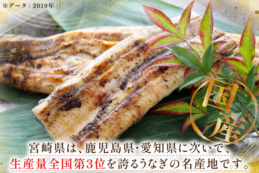 うなぎ 鰻 白焼き 1尾 たれ付き [オーチャンズ 宮崎県 美郷町 31bn0004] ウナギ 国産 蒲焼のたれ 付き タレ たれ 蒲焼 蒲焼き