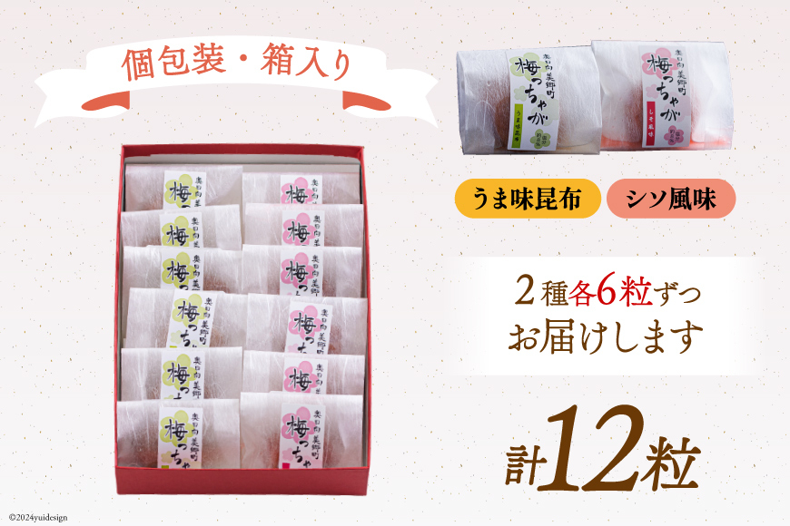 南高梅 梅干し 美郷梅 一粒入り うま味昆布 & シソ風味 各6粒 3Lサイズ A級品 化粧箱入り [農林産物直売所 美郷ノ蔵 宮崎県 美郷町 31ab0101] 国産 セット 詰め合わせ 宮崎県産 美郷産 常温 送料無料 贈答品 父の日 母の日 プレゼント ギフト