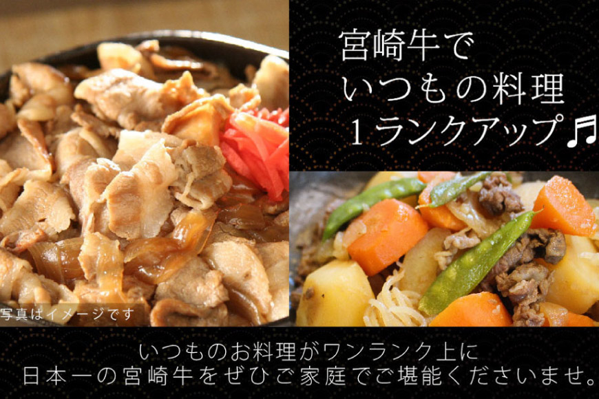 牛肉 宮崎牛 小間切れ 200g 5p 計1kg [マルミヤストア 宮崎県 美郷町 31ag0108] 小分け 国産 黒毛和牛 黒毛 和牛 BBQ