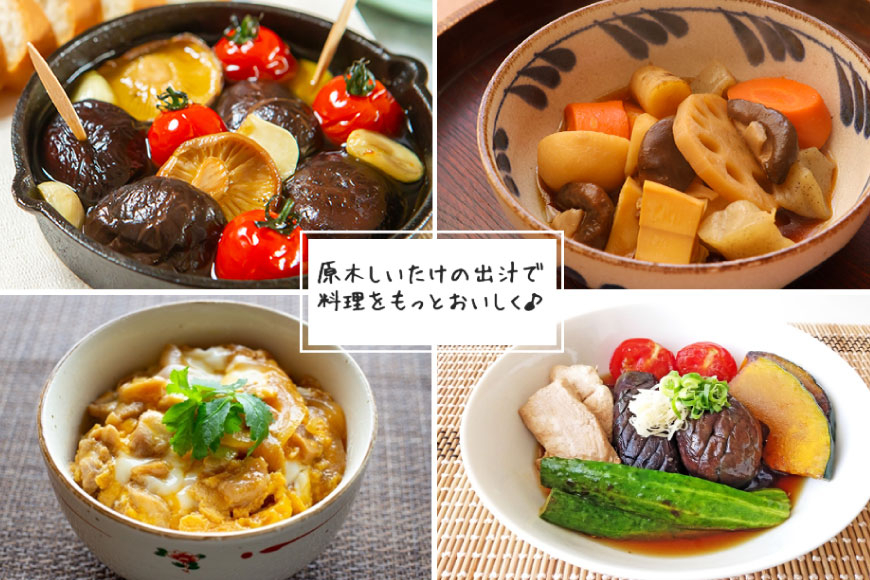 宮崎県産 乾燥 椎茸 40g×1袋 チャック袋入 [ HUTTE 宮崎県 美郷町 31ao0011] 干ししいたけ 出汁 オーガニック 原木栽培 有機JAS認証 料理 調理 小分け 常温 渡川 アヒージョ 煮物 煮付け おかず おこわ 鍋 みそ汁 炒め物 うどん そば スープ パスタ リゾット 春巻き 数量限定