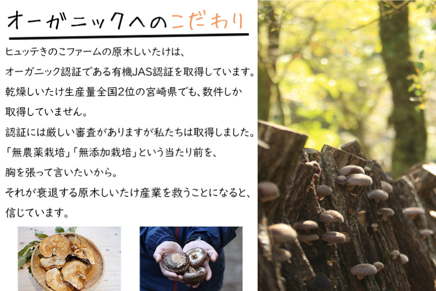 しいたけ 原木 肉厚 スライス 干し 椎茸 20g [HUTTE 宮崎県 美郷町 31ao0022] 巻き寿司 恵方巻 乾燥 シイタケ 乾燥しいたけ お節