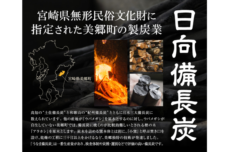 うなま 備長炭 (2級並) 3kg [宮崎県農業協同組合 八菜館ひゅうが店 宮崎県 美郷町 31ap0012] BBQ 七輪 焼肉 高火力 遠赤外線 長時間 燃焼 煙少 消臭 白炭 キャンプ バーベキュー 宮崎県 産 送料無料