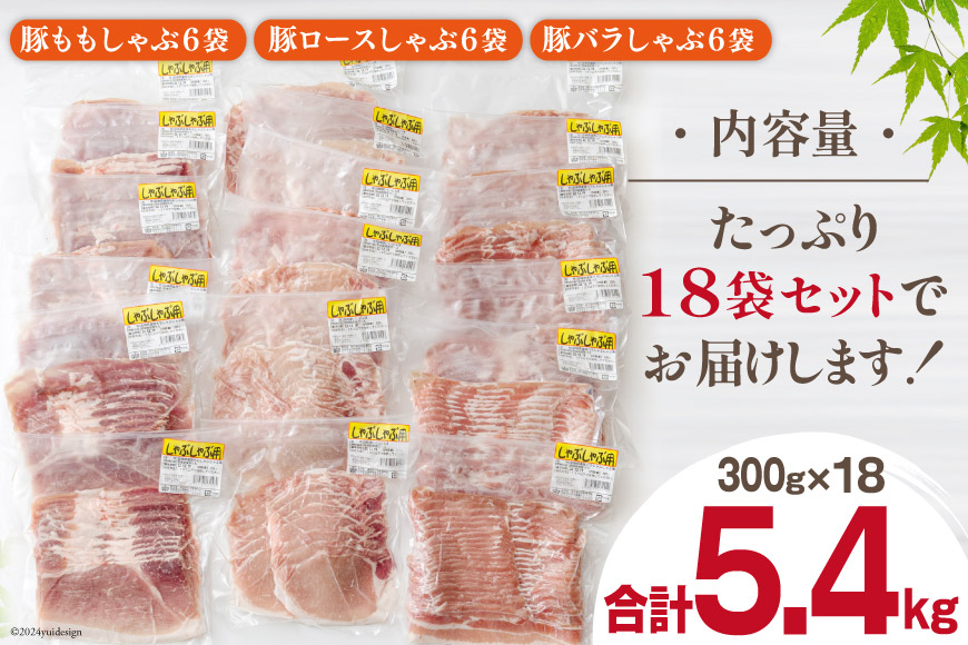 豚肉 豚しゃぶ ロース バラ モモ 食べ比べ セット 3種 各300g×6 合計5.4kg [甲斐精肉店 宮崎県 美郷町 31as0098] 豚 詰め合わせ 薄切り スライス 小分け 冷凍 宮崎県産 国産 しゃぶしゃぶ 真空包装 うす切り