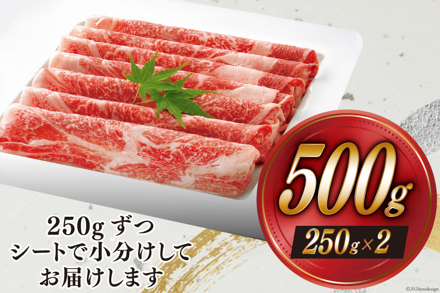 【宮崎牛】 モモ スライス 250g×2 計500g 250gずつシートで小分け [ローカルブランディング 宮崎県 美郷町 31bb0030] 黒毛和牛 国産 宮崎 A4 A5 牛肉 すき焼き しゃぶしゃぶ 焼きしゃぶ 小分け