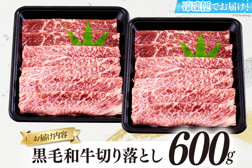 宮崎県産 黒毛和牛 切り落とし 300g×2 計600g [日本ハムマーケティング 宮崎県 美郷町 31bd0013] 小分け モモ カタ バラ ミックス 冷凍 送料無料 国産 牛 肉 切落し 牛丼 肉じゃが しぐれ煮 煮込み 肩 普段使い 母の日 父の日 プレゼント ギフト 贈り物
