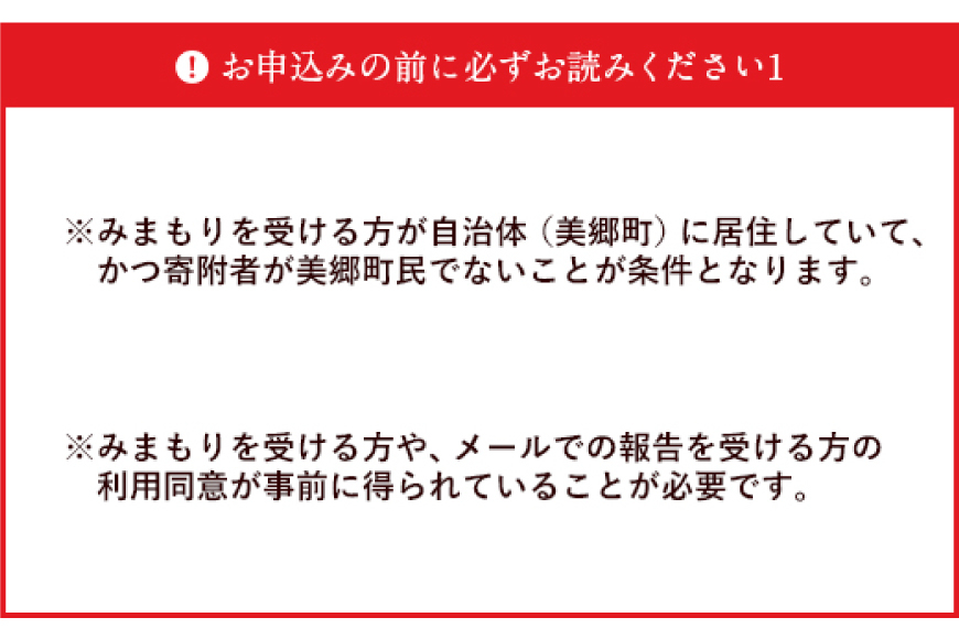 郵便局 みまもり サービス 訪問 12ヵ月 年12回 [日本郵便 宮崎県 美郷町 31bk0006] 家族 健康 安否確認 代行 高齢者 見守り 故郷 親 両親