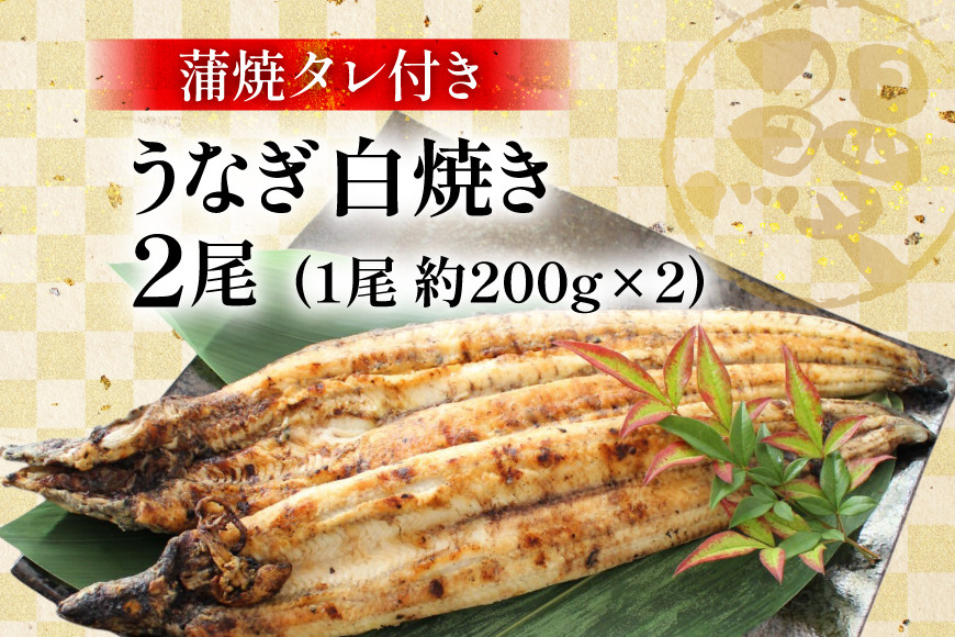 うなぎ 鰻 白焼き 2尾 たれ付き [オーチャンズ 宮崎県 美郷町 31bn0003] ウナギ 国産 蒲焼のたれ 付き タレ たれ 蒲焼 蒲焼き