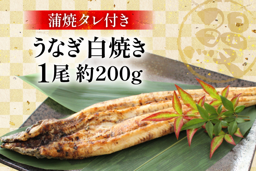 うなぎ 鰻 白焼き 1尾 たれ付き [オーチャンズ 宮崎県 美郷町 31bn0004] ウナギ 国産 蒲焼のたれ 付き タレ たれ 蒲焼 蒲焼き