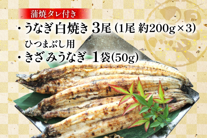 うなぎ 鰻 白焼き 3尾 たれ付き [オーチャンズ 宮崎県 美郷町 31bn0006] ウナギ 国産 蒲焼のたれ 付き タレ たれ 蒲焼 蒲焼き