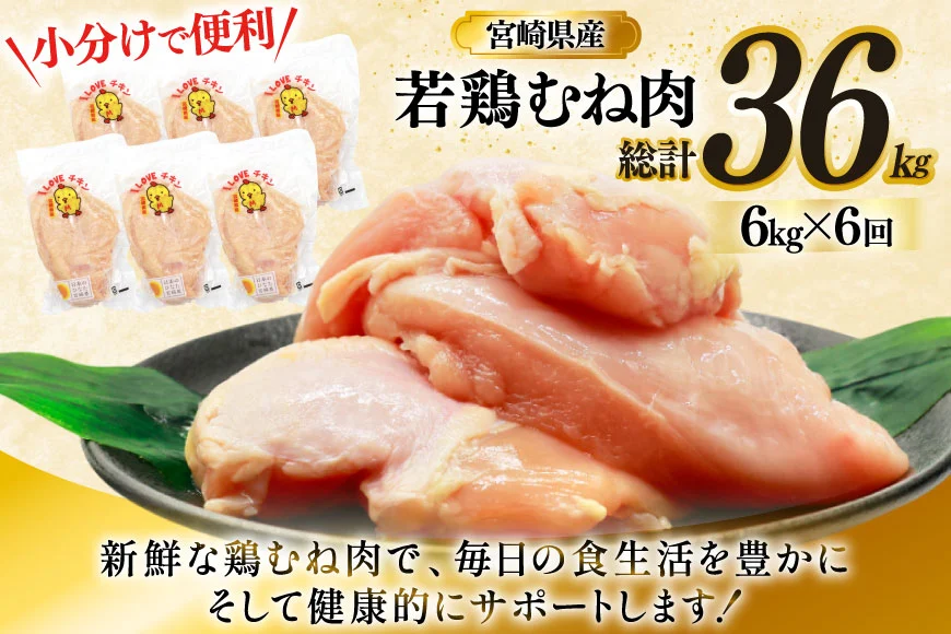 鶏肉 定期便 むね肉 若鶏 鶏むね肉 6kg 6回 総計36kg [ミヤケイフード 宮崎県 美郷町 31bp0019] 鶏むね 鶏胸 むね 冷凍 小分け