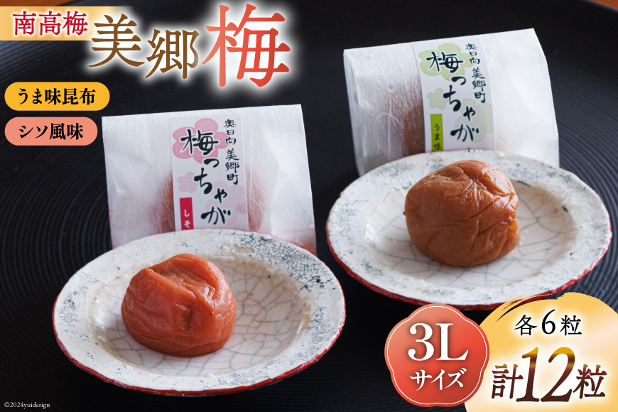 南高梅 梅干し 美郷梅 一粒入り うま味昆布 & シソ風味 各6粒 3Lサイズ A級品 化粧箱入り [農林産物直売所 美郷ノ蔵 宮崎県 美郷町 31ab0101] 国産 セット 詰め合わせ 宮崎県産 美郷産 常温 送料無料 贈答品 父の日 母の日 プレゼント ギフト