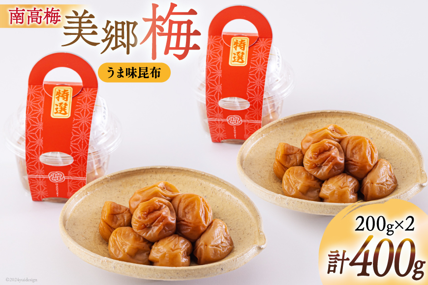 南高梅 梅干し 美郷梅 昆布 200g×2 3Lサイズ 塩分控えめ A級品 [農林産物直売所 美郷ノ蔵 宮崎県 美郷町 31ab0109] 国産 宮崎県産 美郷産 常温 送料無料 贈答品 父の日 母の日 プレゼント ギフト おやつ お菓子 料理 調理 おかず