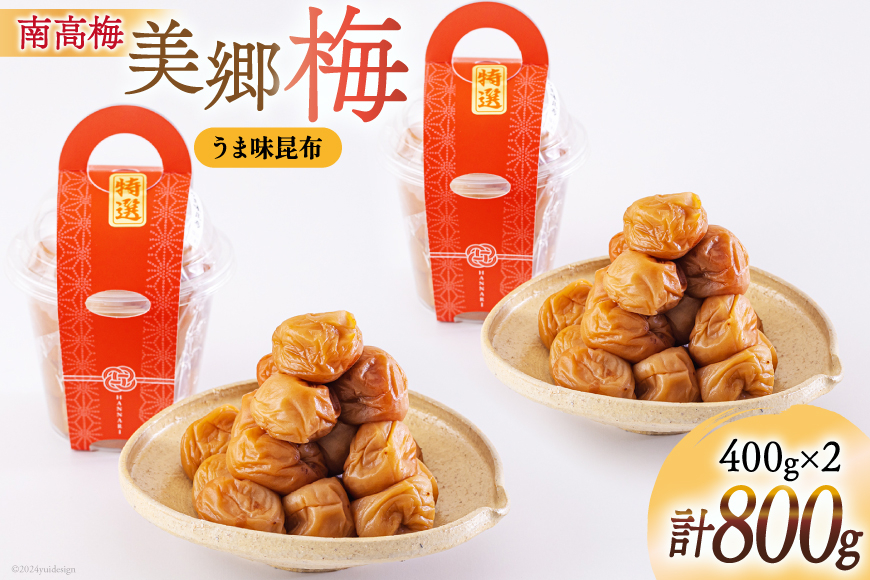 南高梅 梅干し 美郷梅 昆布 400g×2個 3Lサイズ 塩分控えめ A級品 [農林産物直売所 美郷ノ蔵 宮崎県 美郷町 31ab0112] 国産 宮崎県産 美郷産 常温 送料無料 贈答品 父の日 母の日 プレゼント ギフト 贈り物 おやつ お菓子 料理 調理 おかず 普段使い