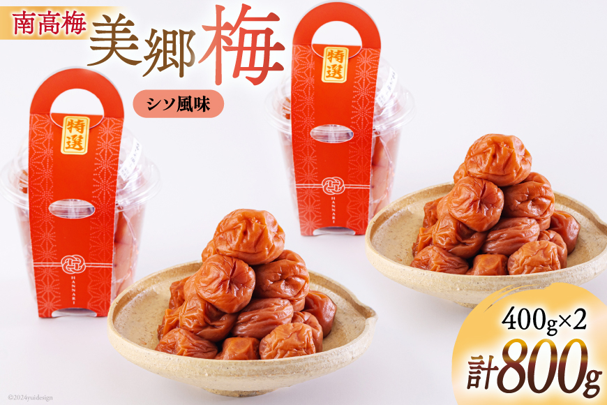 南高梅 梅干し 美郷梅 シソ風味 400g×2 3Lサイズ 塩分控えめ A級品 [農林産物直売所 美郷ノ蔵 宮崎県 美郷町 31ab0113] 国産 宮崎県産 美郷産 常温 送料無料 贈答品 父の日 母の日 プレゼント ギフト 贈り物 おやつ お菓子 調理 おかず 料理 普段使い
