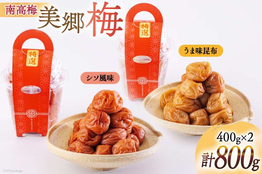 南高梅 梅干し 美郷梅 昆布 シソ風味 セット 各400g×1 3Lサイズ A級品 [農林産物直売所 美郷ノ蔵 宮崎県 美郷町 31ab0114] 国産 セット 詰め合わせ　 宮崎県産 美郷産 常温 送料無料 贈答品 父の日 母の日 プレゼント ギフト 食べ比べ 2種 贈り物 おやつ お菓子 調理 おかず 料理 普段使い